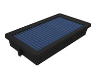 Thumbnail for Photo - Primary