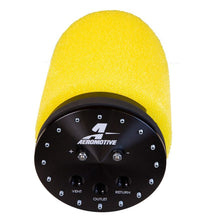 Thumbnail for Photo - Close Up