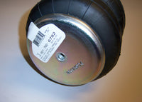 Thumbnail for User 2