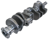 Thumbnail for Photo - Primary