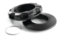 Thumbnail for Photo - Primary