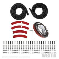 Thumbnail for Photo - Unmounted