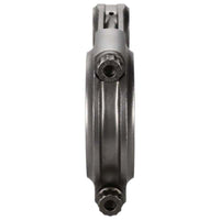 Thumbnail for Photo - Primary