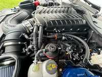 Thumbnail for Photo - Mounted