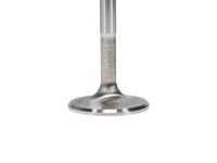 Thumbnail for User 3