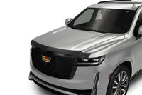 Thumbnail for Photo - Primary