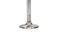 Thumbnail for User 3