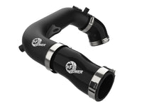 Thumbnail for Photo - Primary