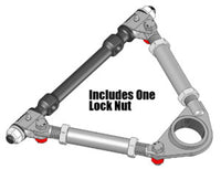 Thumbnail for Photo - Unmounted