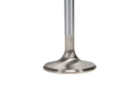 Thumbnail for User 3