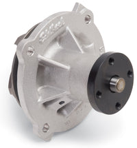 Thumbnail for Photo - Primary