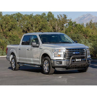 Thumbnail for Photo - Mounted