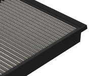 Thumbnail for Photo - Unmounted