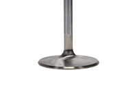 Thumbnail for User 3