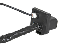 Thumbnail for Photo - Unmounted