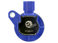 Thumbnail for Photo - Unmounted