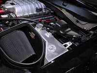 Thumbnail for Photo - Mounted