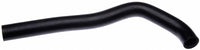 Thumbnail for Gates 98-02 Dodge Diesel Molded Upper Coolant Radiator Hose