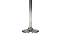 Thumbnail for User 3