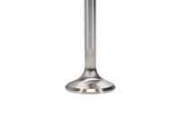 Thumbnail for User 3