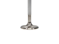 Thumbnail for User 3