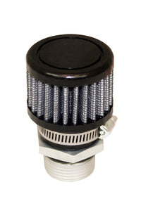 Thumbnail for Photo - Primary