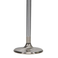 Thumbnail for Manley 99-12 Ford V8 4.6L/281 5.4/330 45.5mm Race Series Stainless Steel Intake Valves (Set of 8)