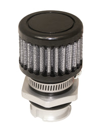 Thumbnail for Photo - Primary