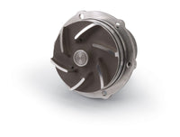 Thumbnail for Photo - Unmounted