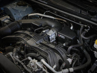 Thumbnail for Photo - Mounted