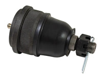 Thumbnail for Photo - Primary