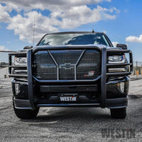 Thumbnail for Photo - Mounted