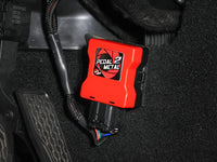 Thumbnail for Photo - Mounted