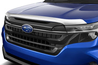 Thumbnail for Photo - Primary