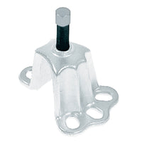 Thumbnail for Photo - Primary