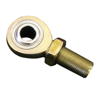 Thumbnail for Photo - Primary