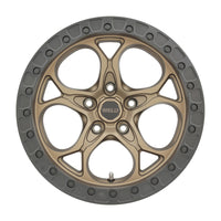 Thumbnail for Photo - Primary