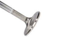 Thumbnail for Photo - Primary