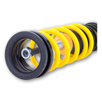 Thumbnail for User 4