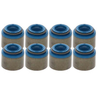 Thumbnail for User 1