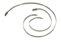 Thumbnail for Photo - Primary