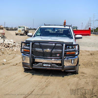 Thumbnail for Photo - Mounted