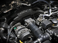 Thumbnail for Photo - Mounted