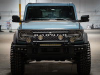 Thumbnail for Photo - Mounted