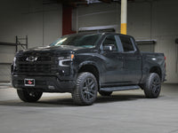 Thumbnail for Photo - Mounted