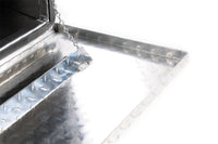 Thumbnail for Photo - Unmounted