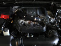 Thumbnail for Photo - Mounted