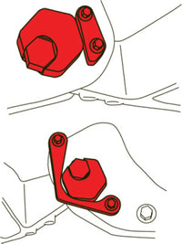 Thumbnail for Photo - Unmounted