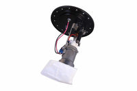 Thumbnail for Photo - Close Up