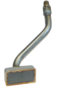 Thumbnail for Photo - Primary